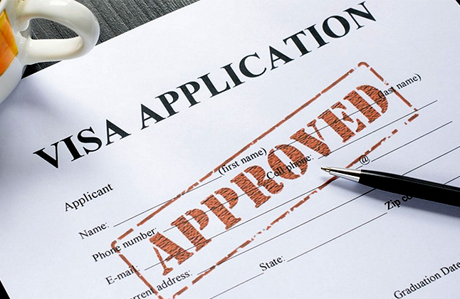 Visa Application